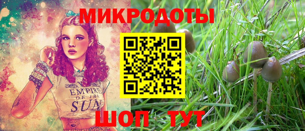 Фрязино  Галлюциногенные грибы Magic Shrooms  Вход с VPN 