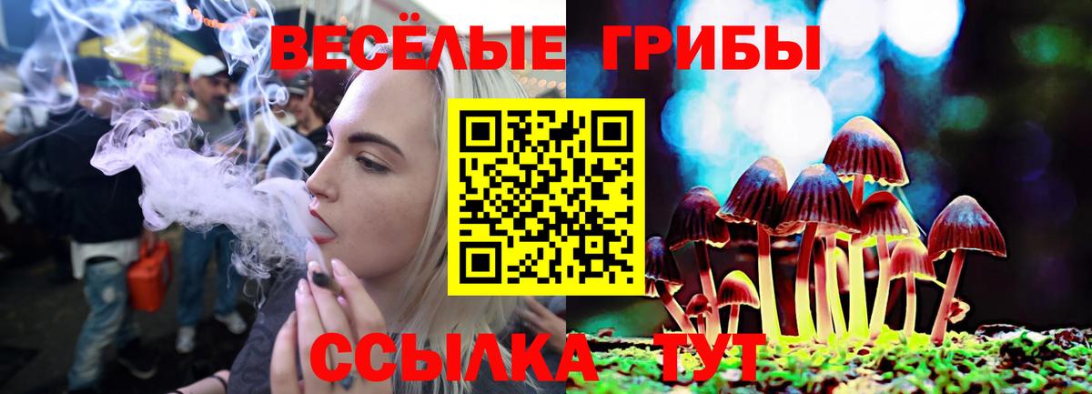 Псилоцибиновые грибы GOLDEN TEACHER Фрязино